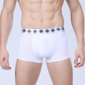 Boxer briefs white Men Lisa Basic Calvin Embroidered Various Colors Sun