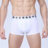 Boxer briefs White Men Lisa Basic Calvin Embroidered Various Colors Sun