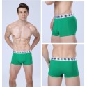 Cueca Boxer Verde Masculina Lisa Básica Calvin Bordada Diversas Cores Sol