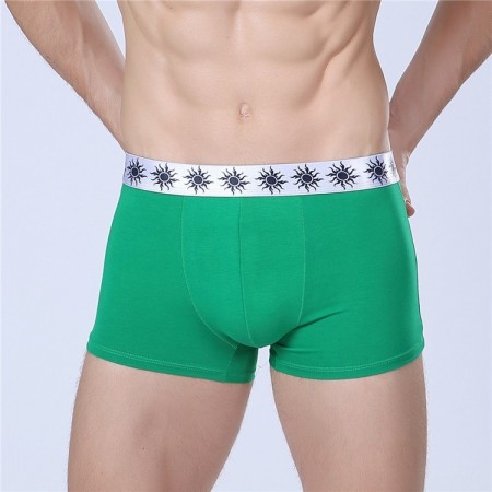 Cueca Boxer Verde Masculina Lisa Básica Calvin Bordada Diversas Cores Sol