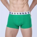 Boxer briefs Green Men Lisa Basic Calvin Embroidered Various Colors Sun