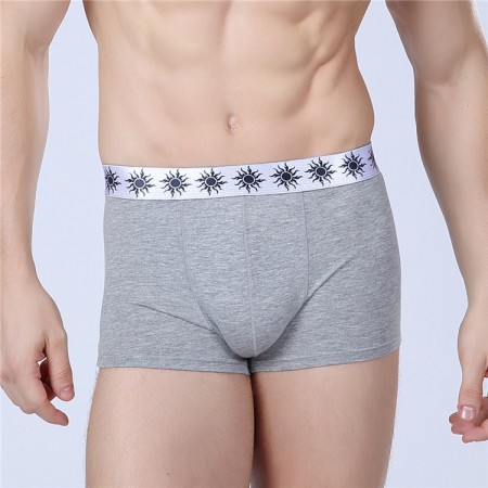 Cueca Boxer Cinza Masculina Lisa Básica Calvin Bordada Diversas Cores Sol