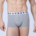 Cueca Boxer Cinza Masculina Lisa Básica Calvin Bordada Diversas Cores Sol