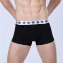 Cueca Boxer Preta Masculina Lisa Básica Calvin Bordada Diversas Cores Sol