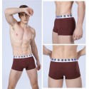 Cueca Boxer Marrom Masculina Lisa Básica Calvin Bordada Diversas Cores Sol