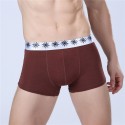 Cueca Boxer Marrom Masculina Lisa Básica Calvin Bordada Diversas Cores Sol