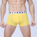 Cueca Boxer Amarela Masculina Lisa Básica Calvin Bordada Diversas Cores Sol