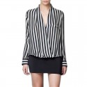 Zebra Desktop Social Work Stylish Blouse