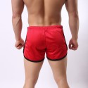 Men's Short Bodybuilding Sports Training Fashion Fitness