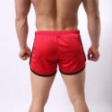 Short Casual Male Fashion Fitness Espovito Beach Summer