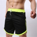 Short Casual Trainings Academy Fitiness Male Trend Fashion